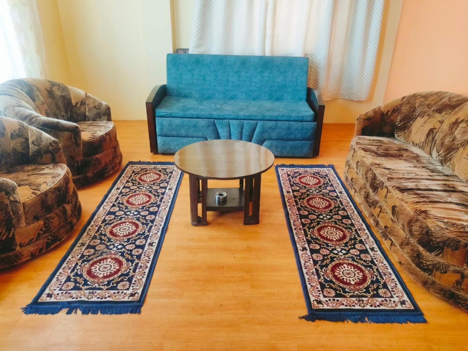 Thakur Apartment 西姆拉 外观 照片
